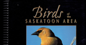 Birds of the Saskatoon Area-2